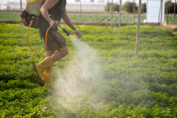 Pest Prevention Services in Marshall, MN