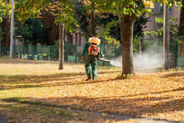 Best Termite Control Services  in Marshall, MN