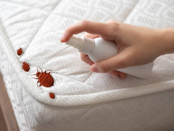 Best Pest Removal Services  in Marshall, MN