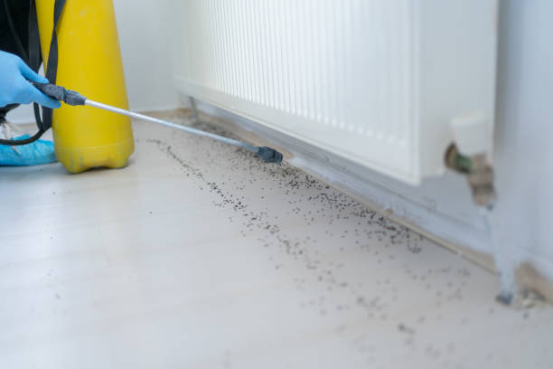 Best Commercial Pest Control Services  in Marshall, MN