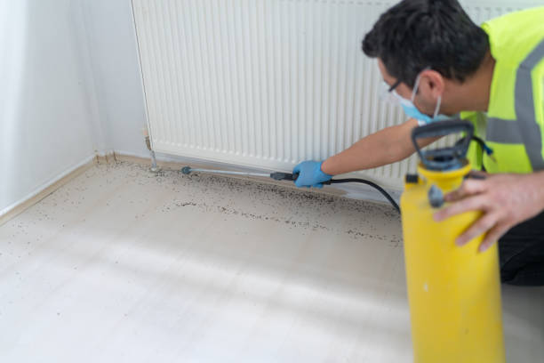 Best Flea Control Services  in Marshall, MN
