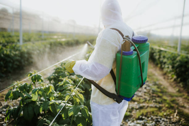 Best Exterminator Services  in Marshall, MN